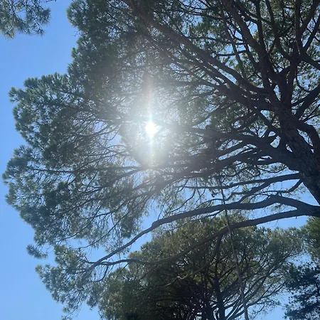 Les Mini-villas De Santa Giulia