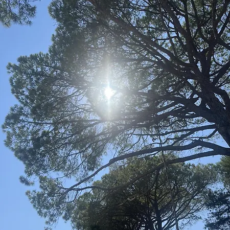 Les Mini-villas De Santa Giulia *